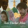 About Tere Darbar Mein Song